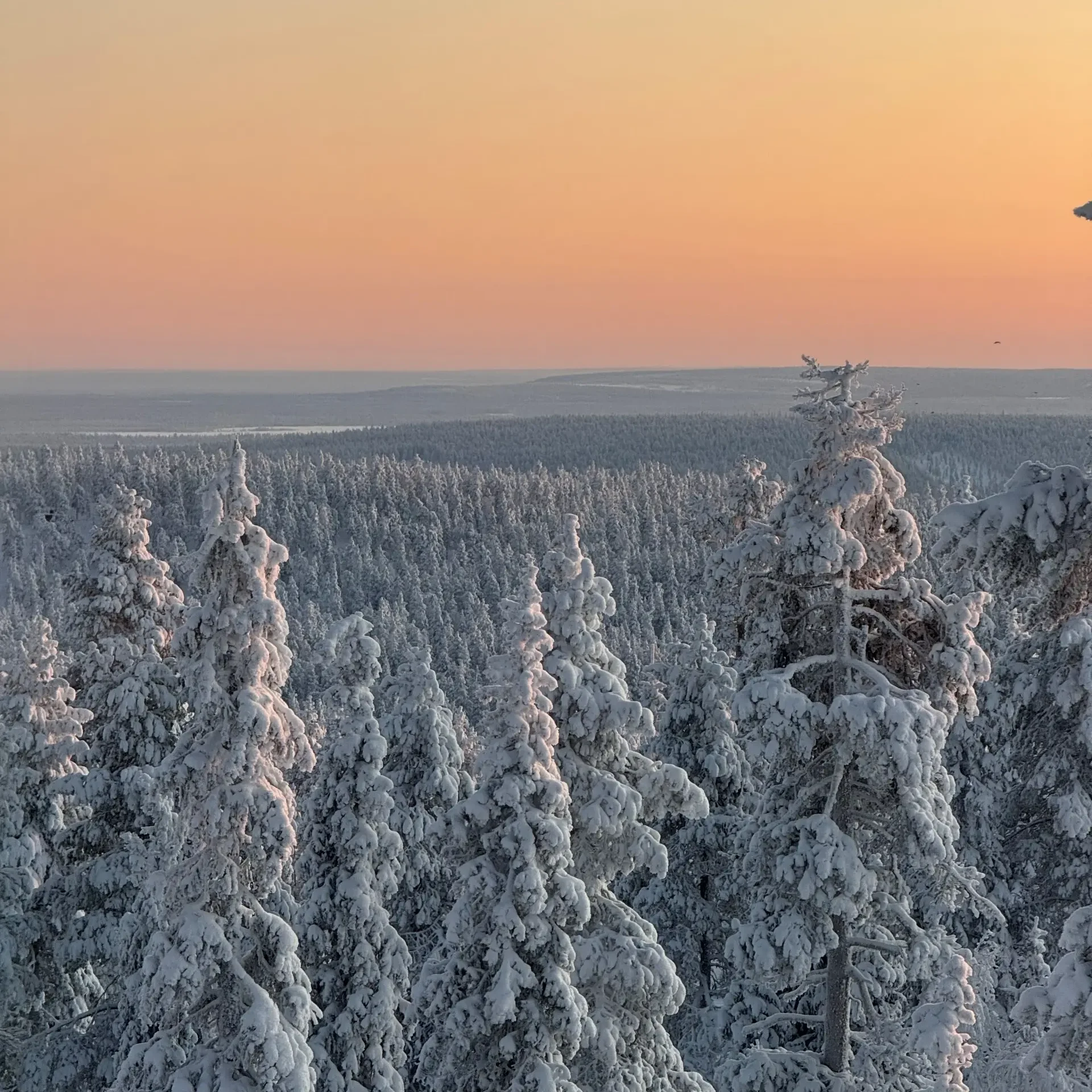 luxury villa utsun otso is located in utsuvaara levi lapland