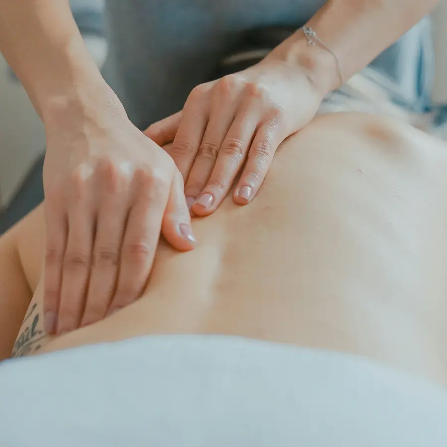 Luxury Villa Utsun Otso massage